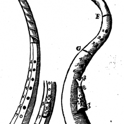 Mersenne (1636), S. 237, © Quelle